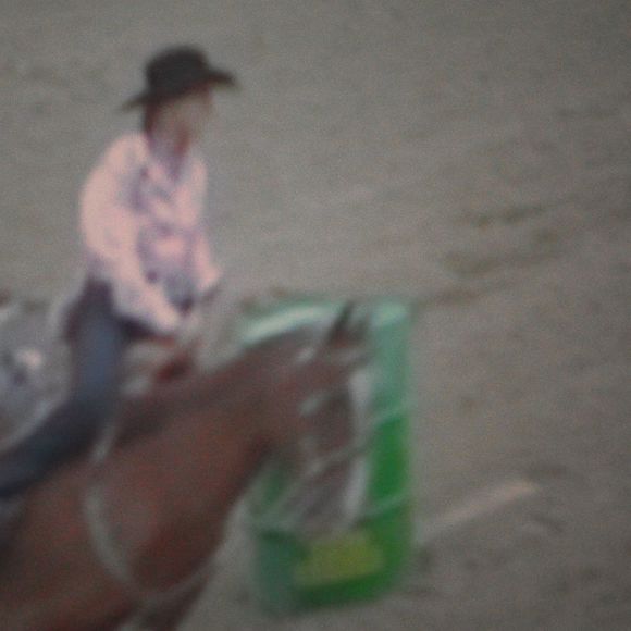 Meet your Posher, Madlyn - Picture 1 of 1